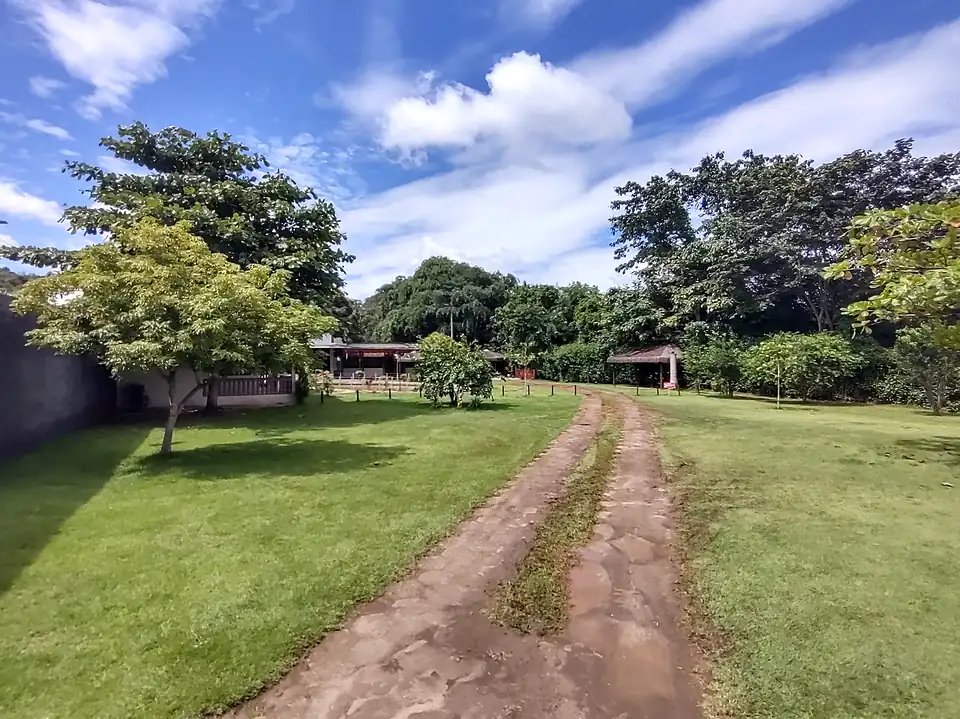 Gramado amplo com caminho de terra e árvores sob céu azul