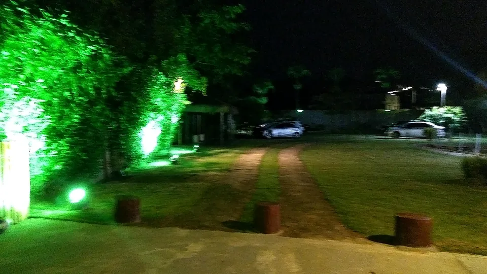 Jardim à noite com árvores iluminadas de verde