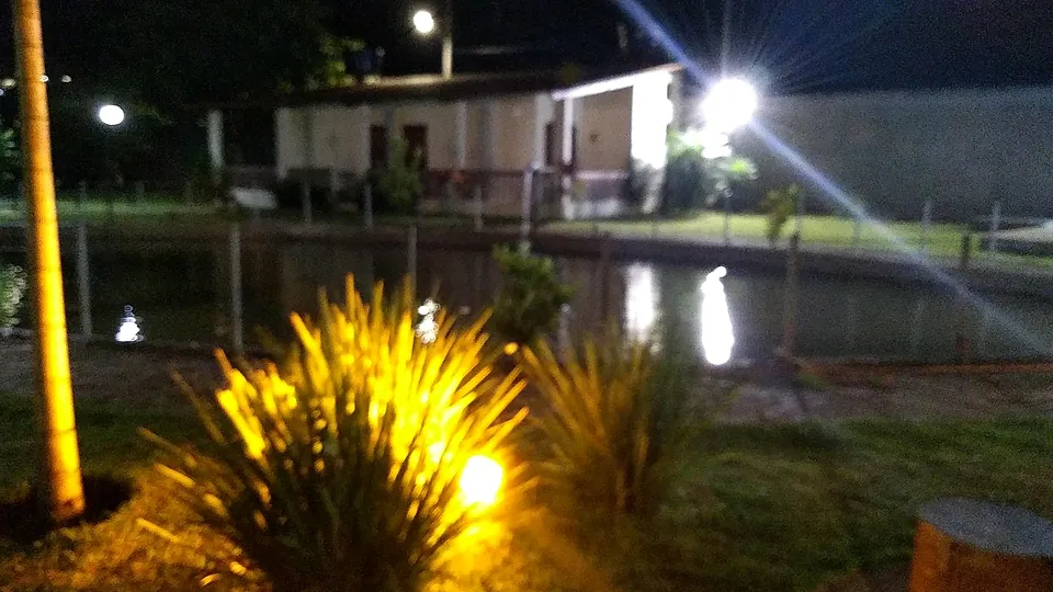 Lago à noite com refletores e plantas iluminadas